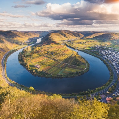 Discover Mosel in six wines