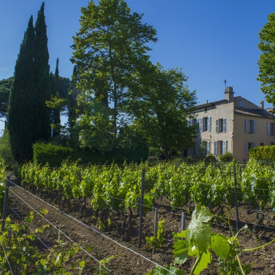 Domaine Tempier, Bandol