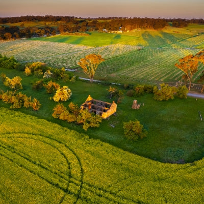 Luxury wine and sustainability