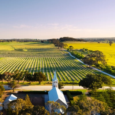 Expert insight: Henschke on Shiraz