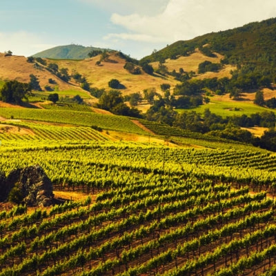Jackson Family Wines: Precision and power in California’s great terroirs