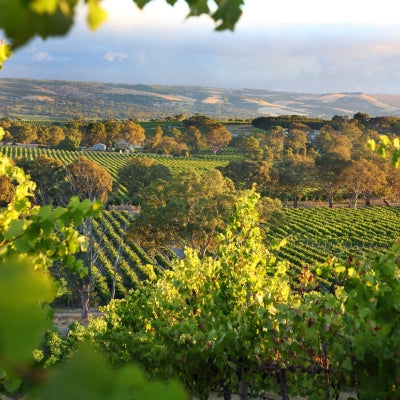 Regional Spotlight: South Australia