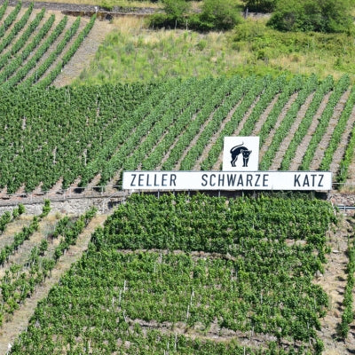 German Wine Labels: How to Understand Them