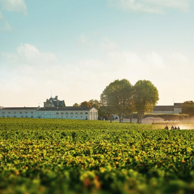 2025 wrapped: The most exciting wine news