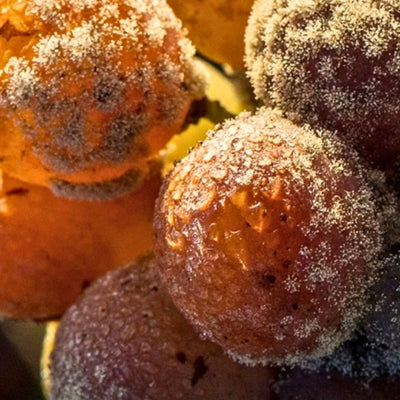 Liquid Gold: Sauternes Part I