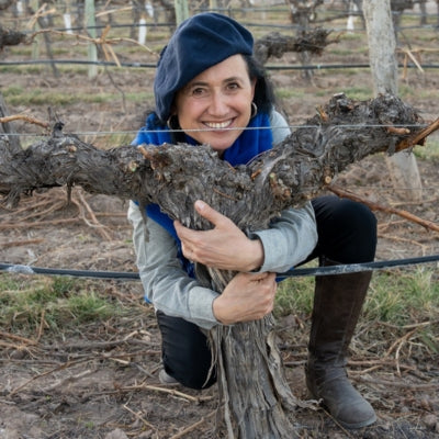 Expert view: Old Vines