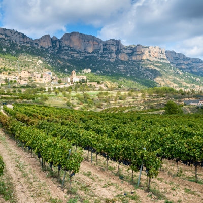 Discover Priorat in six wines