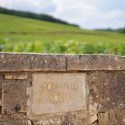 Love of Fine Wine in China Continues, Auction Proves