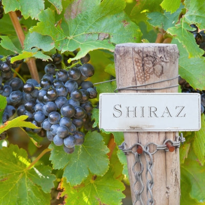Shiraz Day