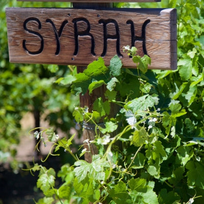 International Syrah Day
