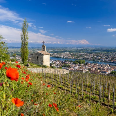 Northern Rhône Know-How