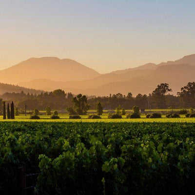 Our Sommelier’s Picks for March: a West Coast Wines Special