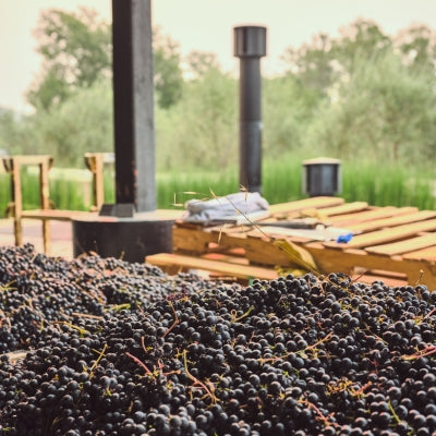 Grape processing: destemming, crushing, and pressing