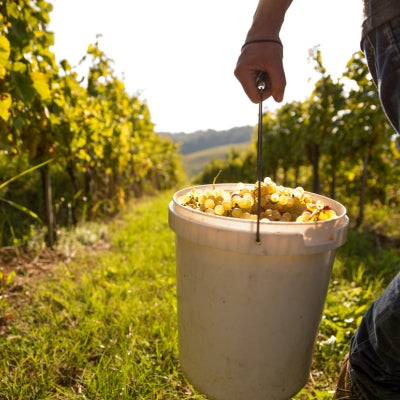 The art of timing the harvest