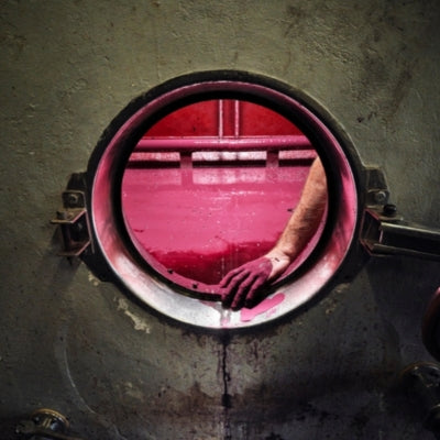 The Errazuriz Wine Photographer of the Year 2025