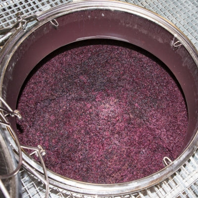 Introduction to wine faults: Part I