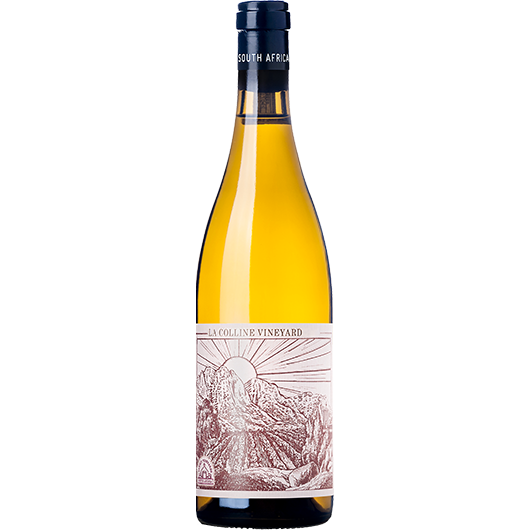 Alheit Vineyards, La Colline Vineyard, Franschhoek, Coastal Region, South Africa