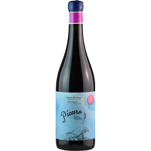 Dominio Aguila, Ribera del Duero, Picaro Aguila Tinto, Castilla y Leon, Spain