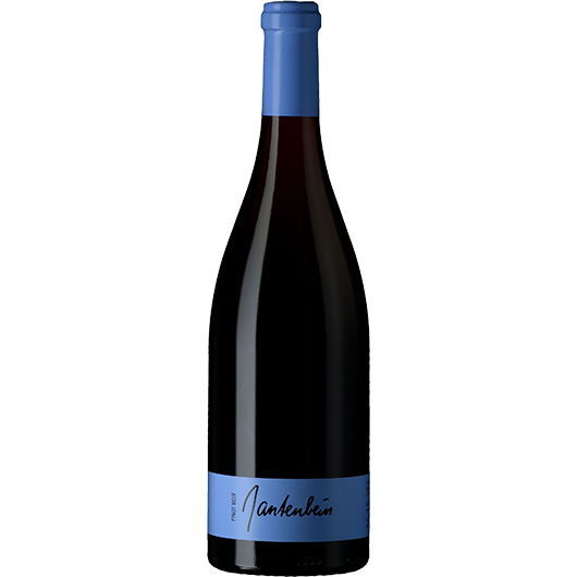 Gantenbein, Pinot Noir, Graubunden, Graubunden, Switzerland