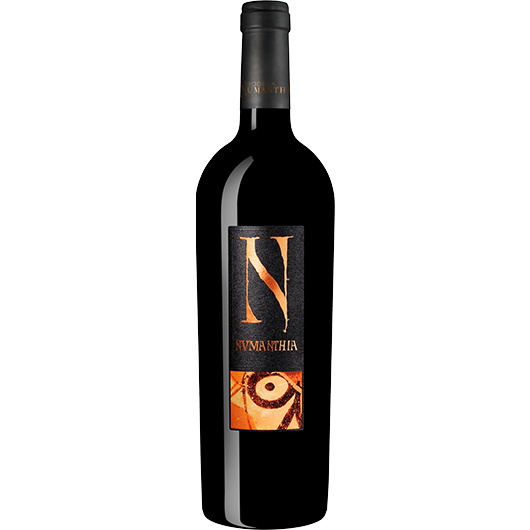 Numanthia, Toro, Castilla y Leon, Spain