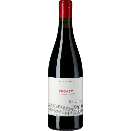 Telmo Rodriguez, Cebreros Pegaso Barrancos de Pizarra, Castilla y Leon, Castilla y Leon, Spain