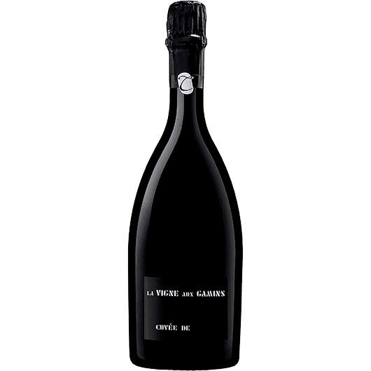 Thienot, Vigne Gamins Blanc de Blancs, Champagne, France