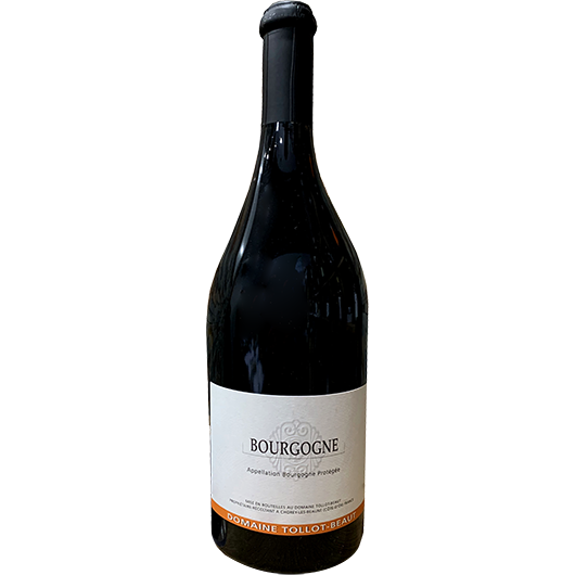 Tollot Beaut, Bourgogne, Rouge, Burgundy, France